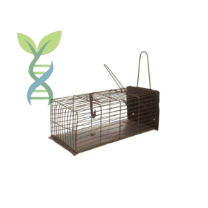 مصيدة عرس - weasels trap