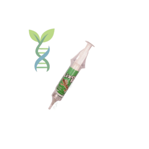 جيل كيموز مبيد الأبراص Kemo Gecko Killer Gel بدون رش بدون رائحة كيمو جل قوي لابادة البرص